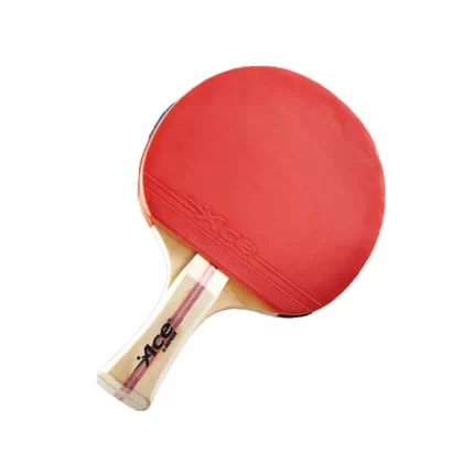 Gopher Ace 1 Star Table Tennis Paddle
